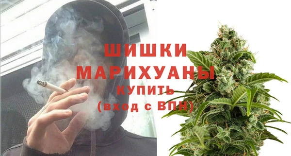 сатива Володарск