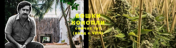 сатива Володарск