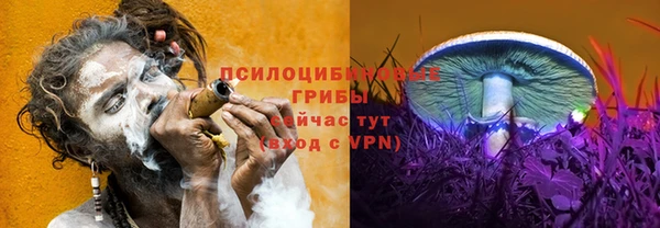 ешки Вязники