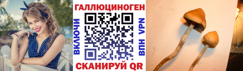 Псилоцибиновые грибы MAGIC MUSHROOMS  закладка  Снежинск 
