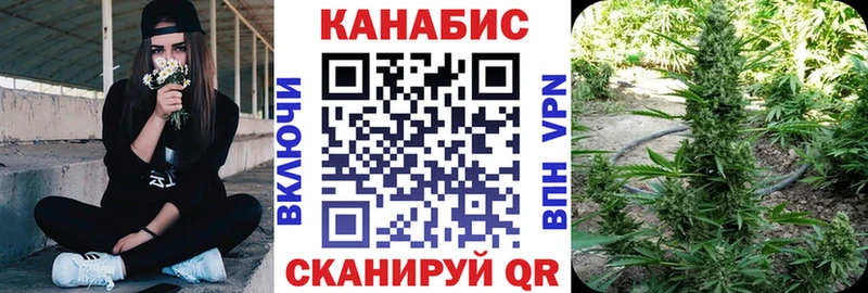 Марихуана Amnesia блэк спрут ссылки Снежинск